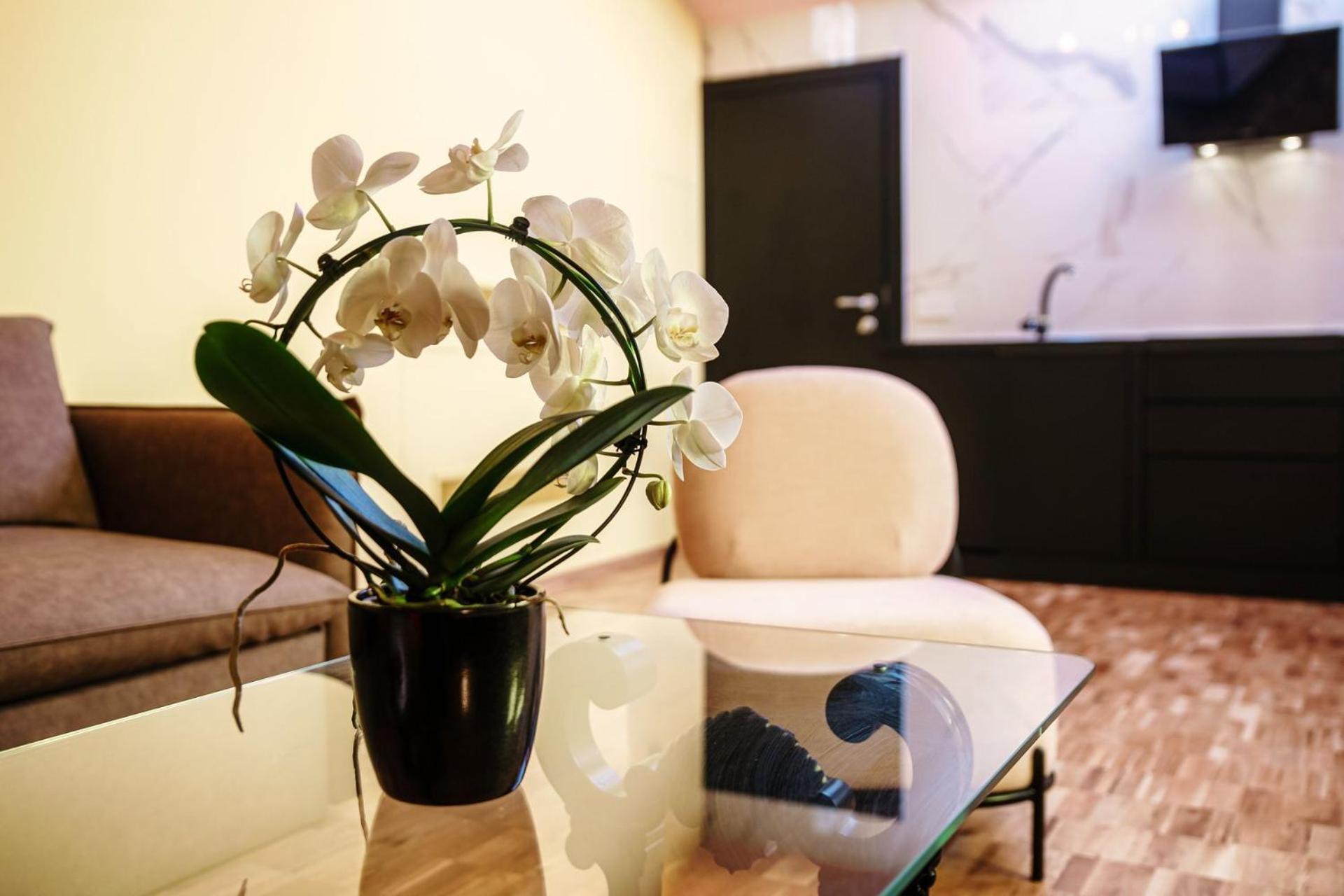 Vitrum - Como Luxury Suites Pokój zdjęcie